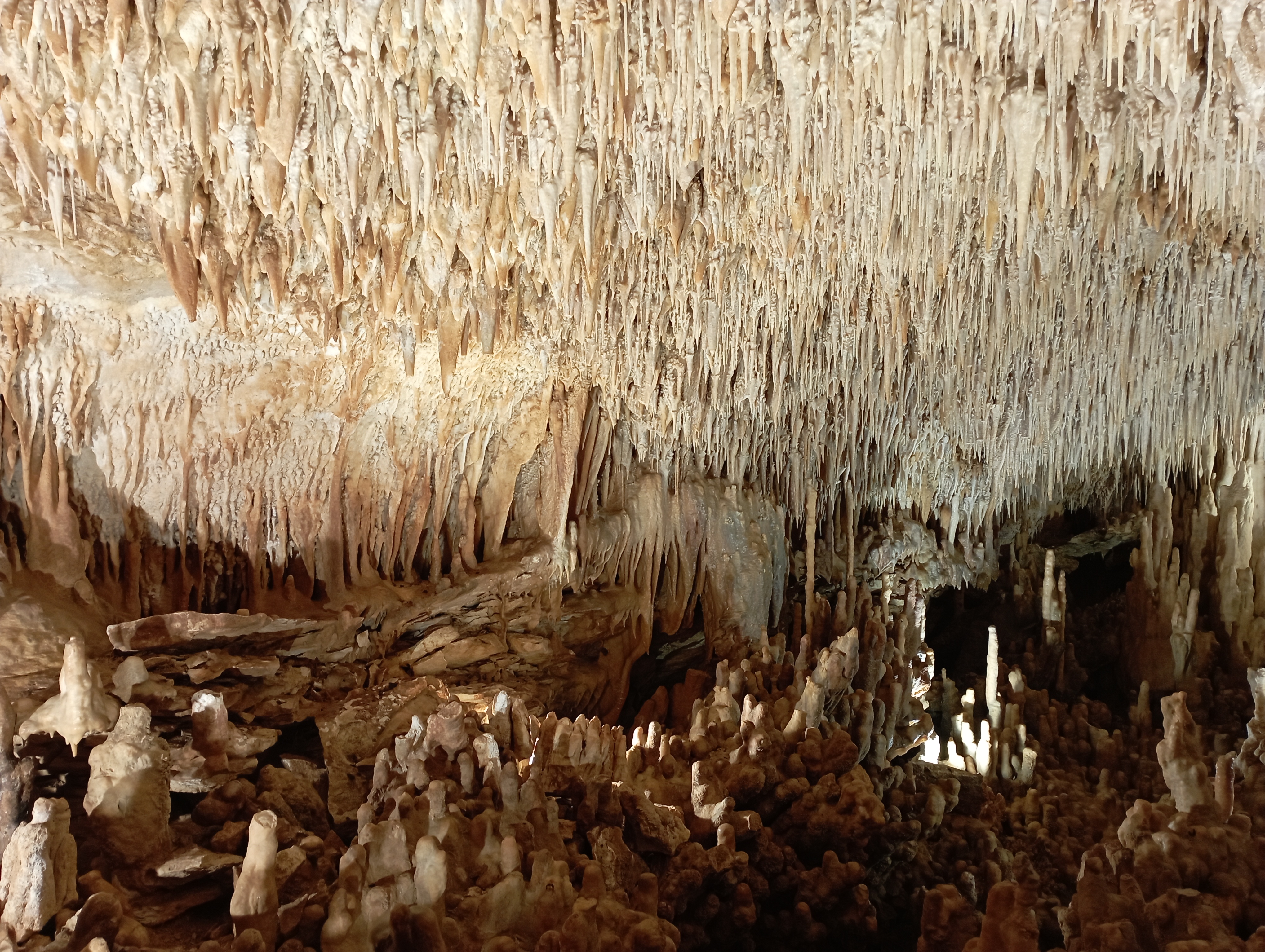 Grotte de Villars (Dordogne) - 2023